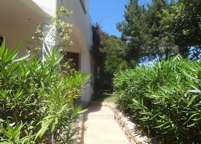 Della Marina * 切尔沃港